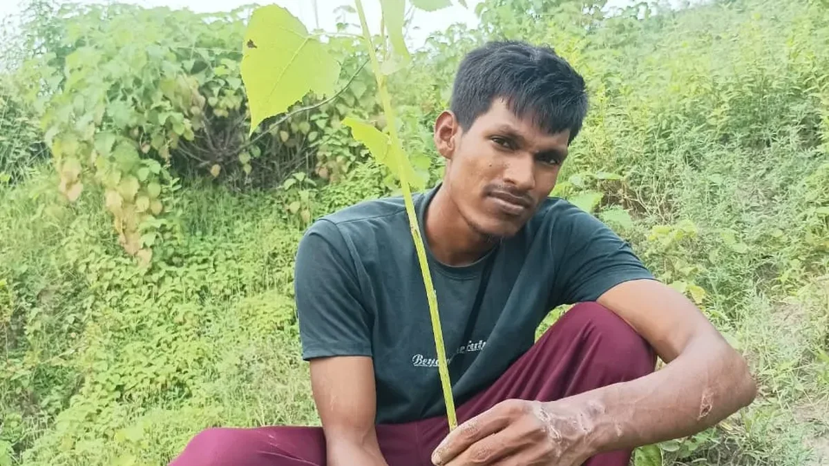 131th week of #plantation