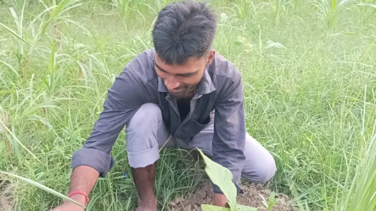 137th week of #plantation