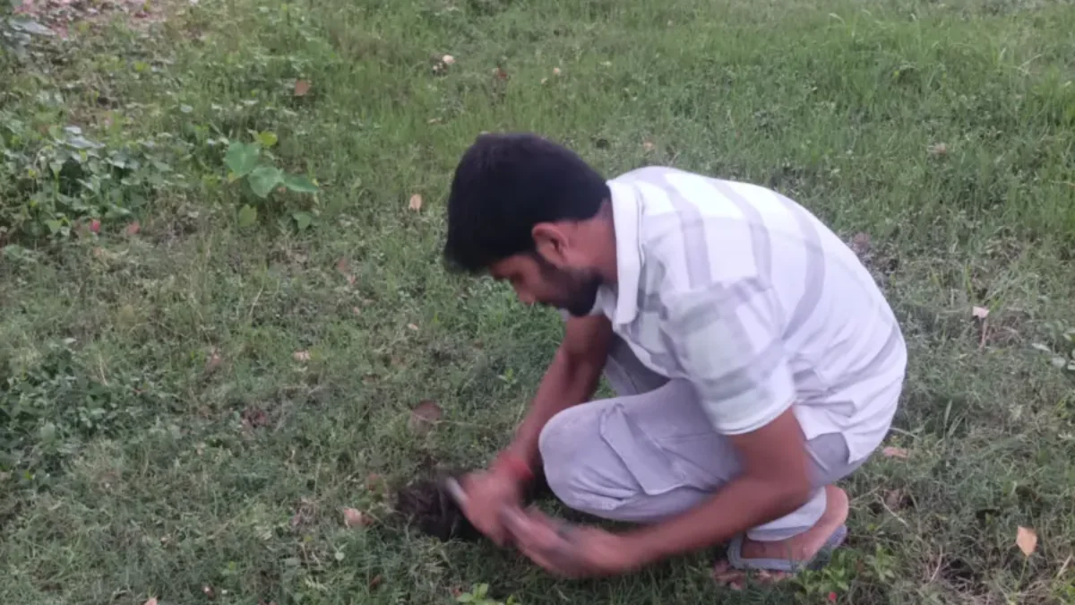 138th week of #plantation