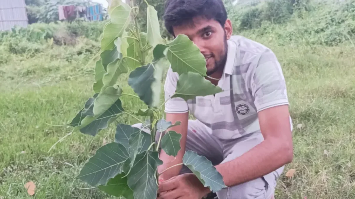 138th week of #plantation