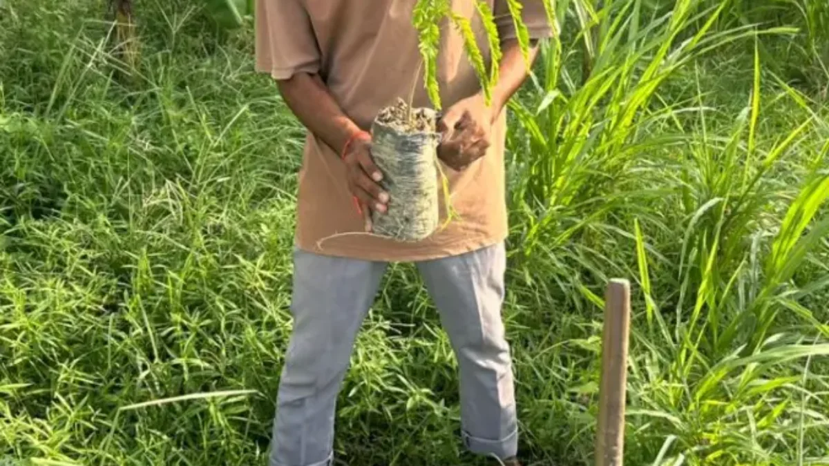 139th week of #plantation