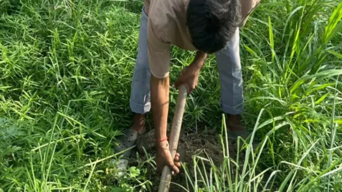 139th week of #plantation