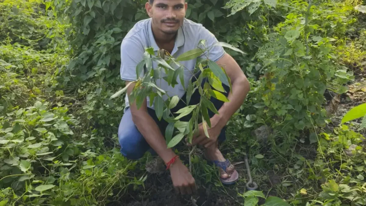 140th week of #plantation