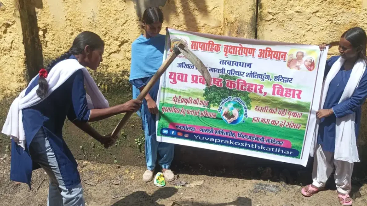 141th week of #plantation