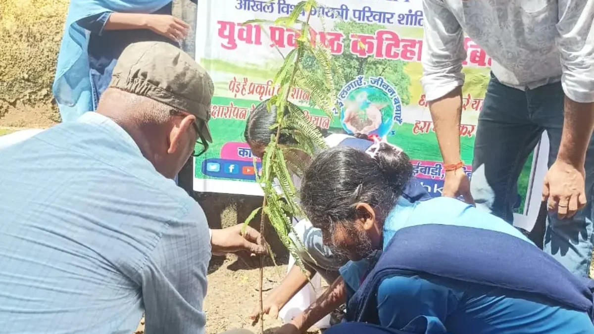 141th week of #plantation