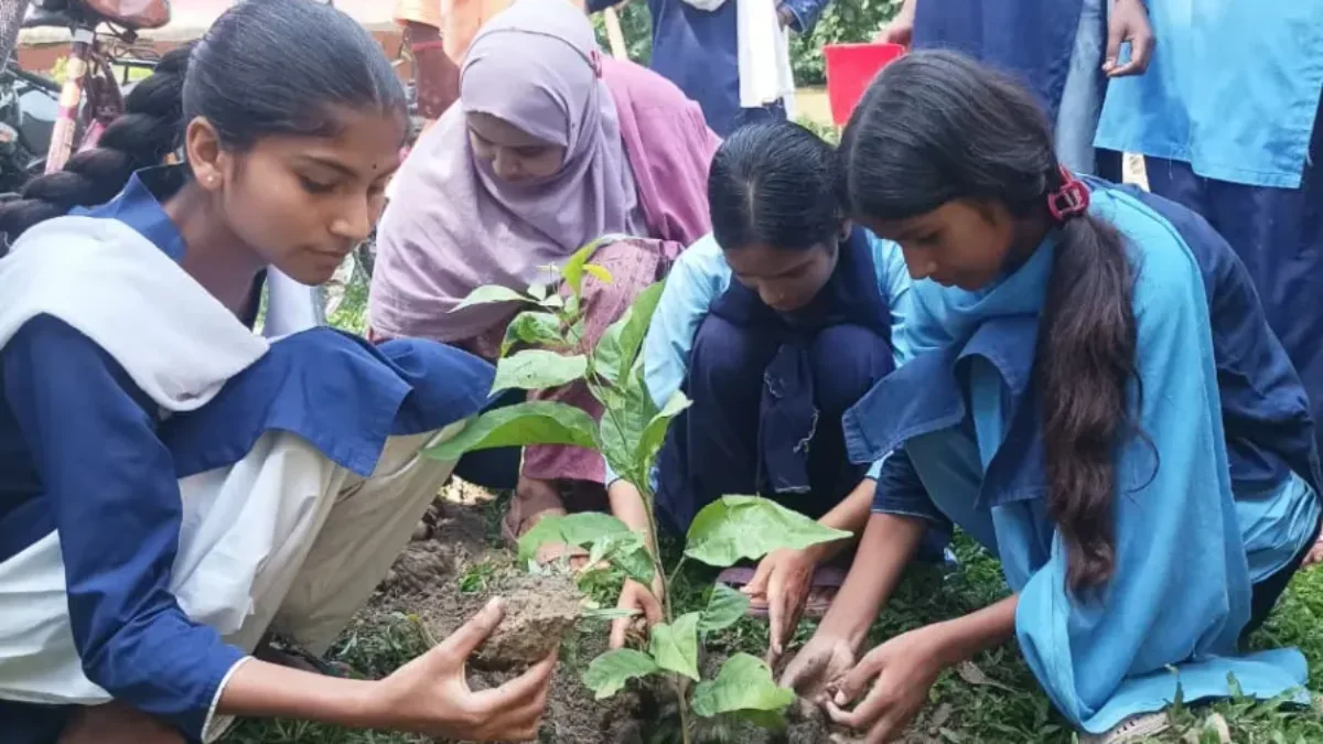 141th week of #plantation