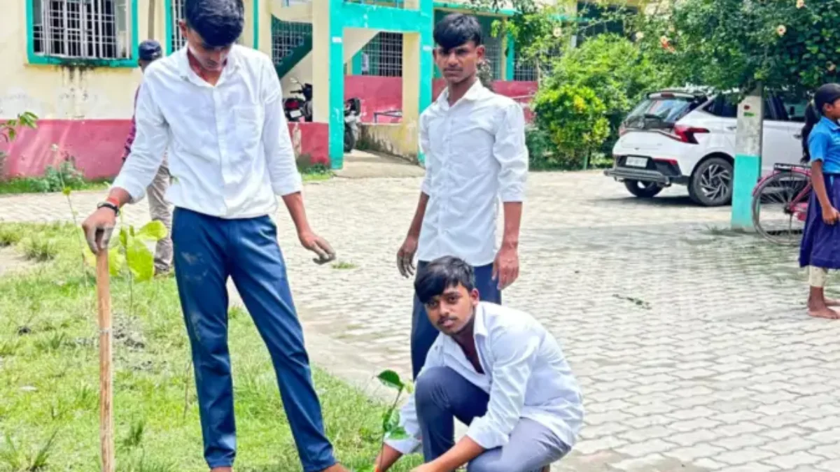 143th week of #plantation