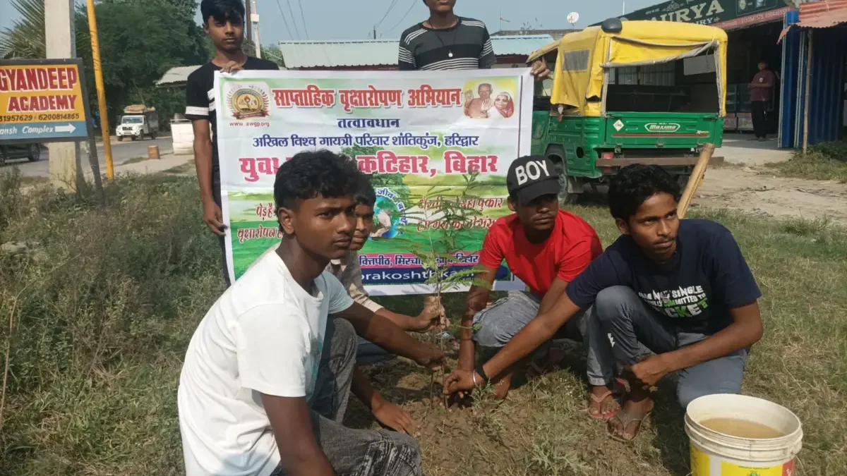 144th week of #plantation