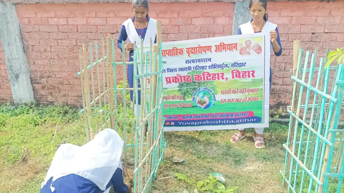 145th week of #plantation