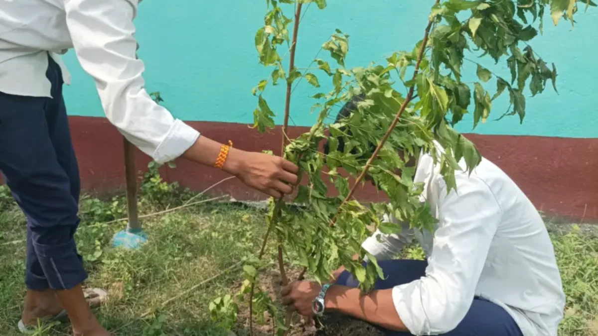 145th week of #plantation