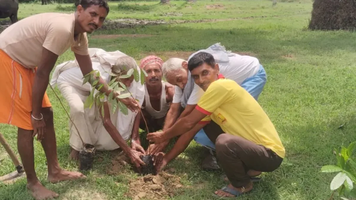 271वें रविवासरीय साप्ताहिक पौधरोपण कार्यक्रम