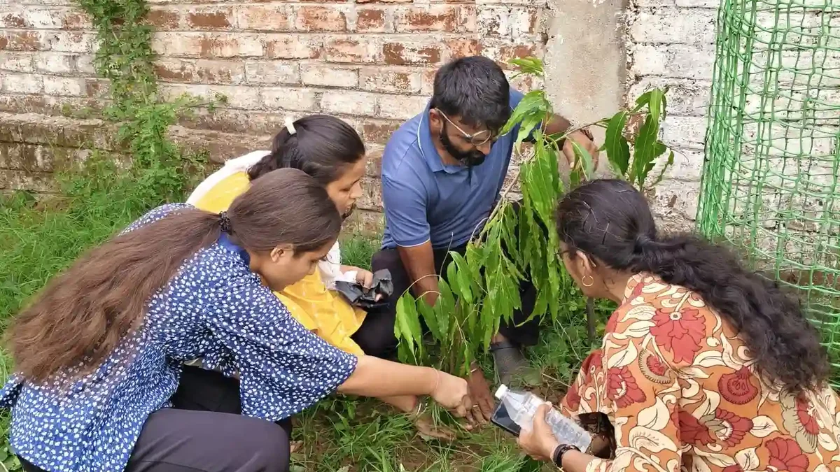 517th Sunday Tree plantation prog