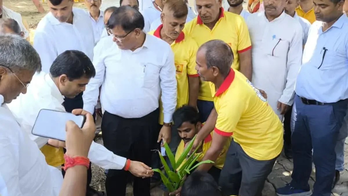 विश्व प्रकृति संरक्षण दिवस के अवसर  विशेष वृक्षारोपण अभियान