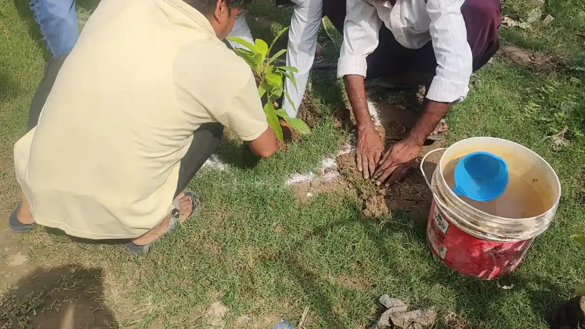 वृक्ष रोपण