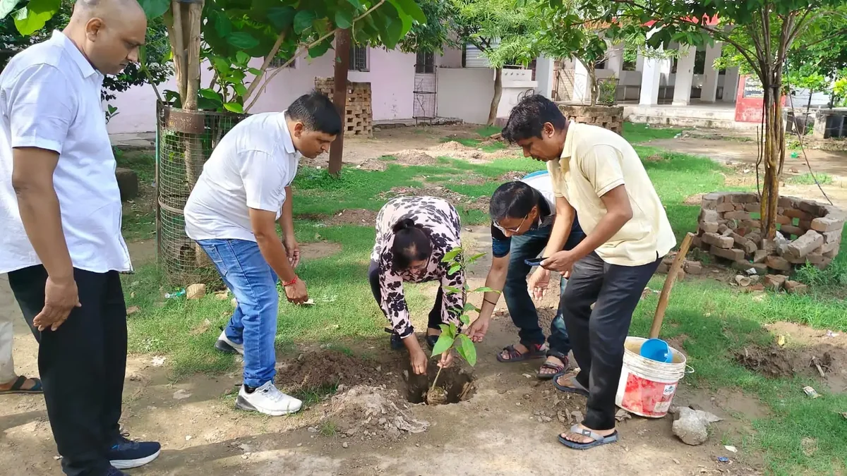 वृक्ष रोपण