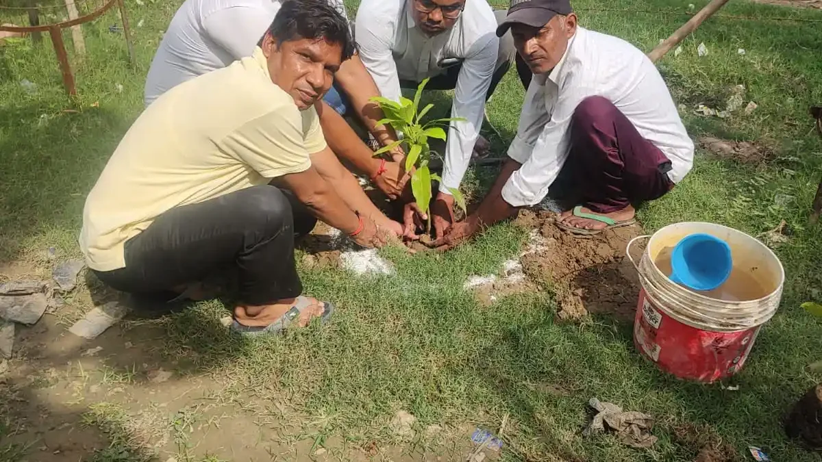 वृक्ष रोपण